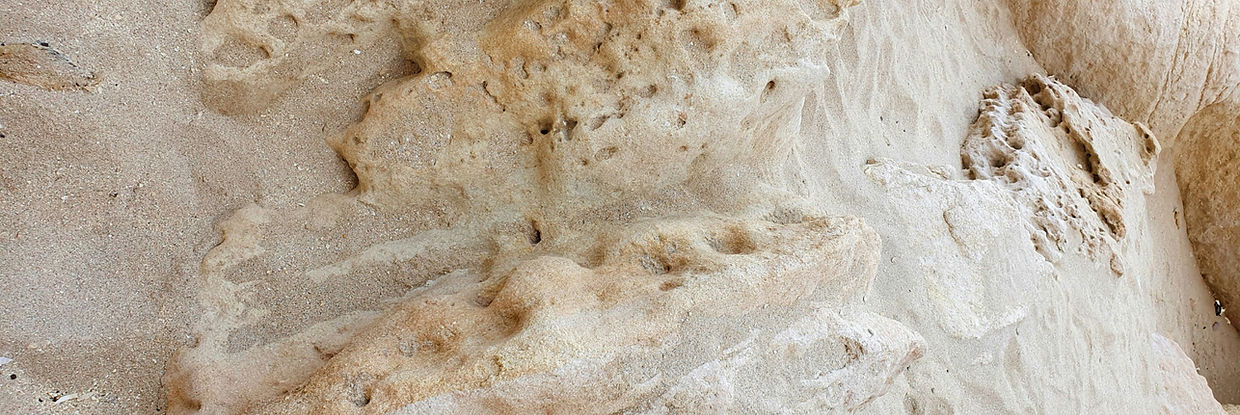 amalia-peigneux-JkqLxEtmQGo-unsplash_edited.jpg