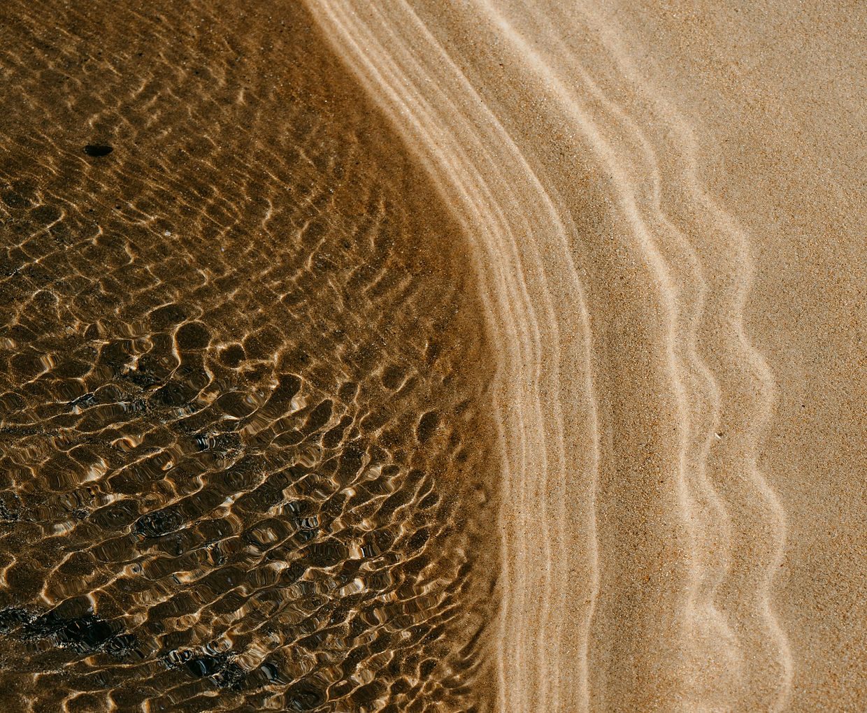 Contact